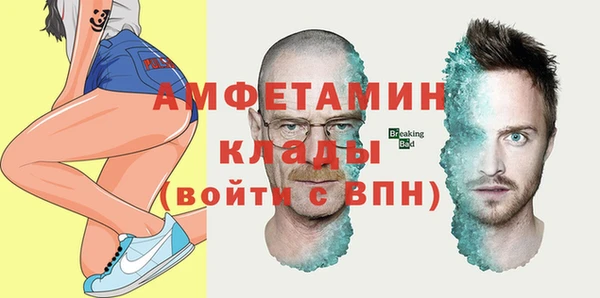 стаф Каменногорск