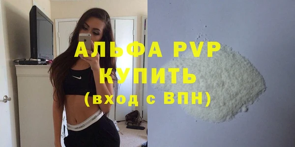 стаф Каменногорск