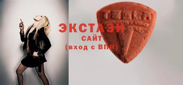 стаф Каменногорск