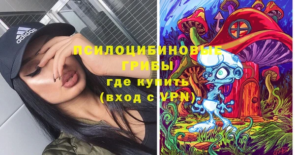 стаф Каменногорск
