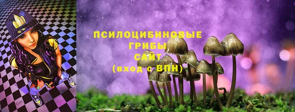 mdma Каменка