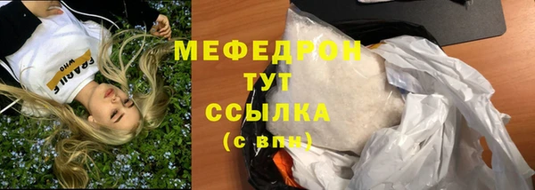 стаф Каменногорск
