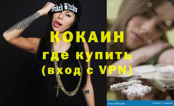 стаф Каменногорск