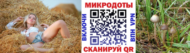Галлюциногенные грибы ЛСД  Ильский 